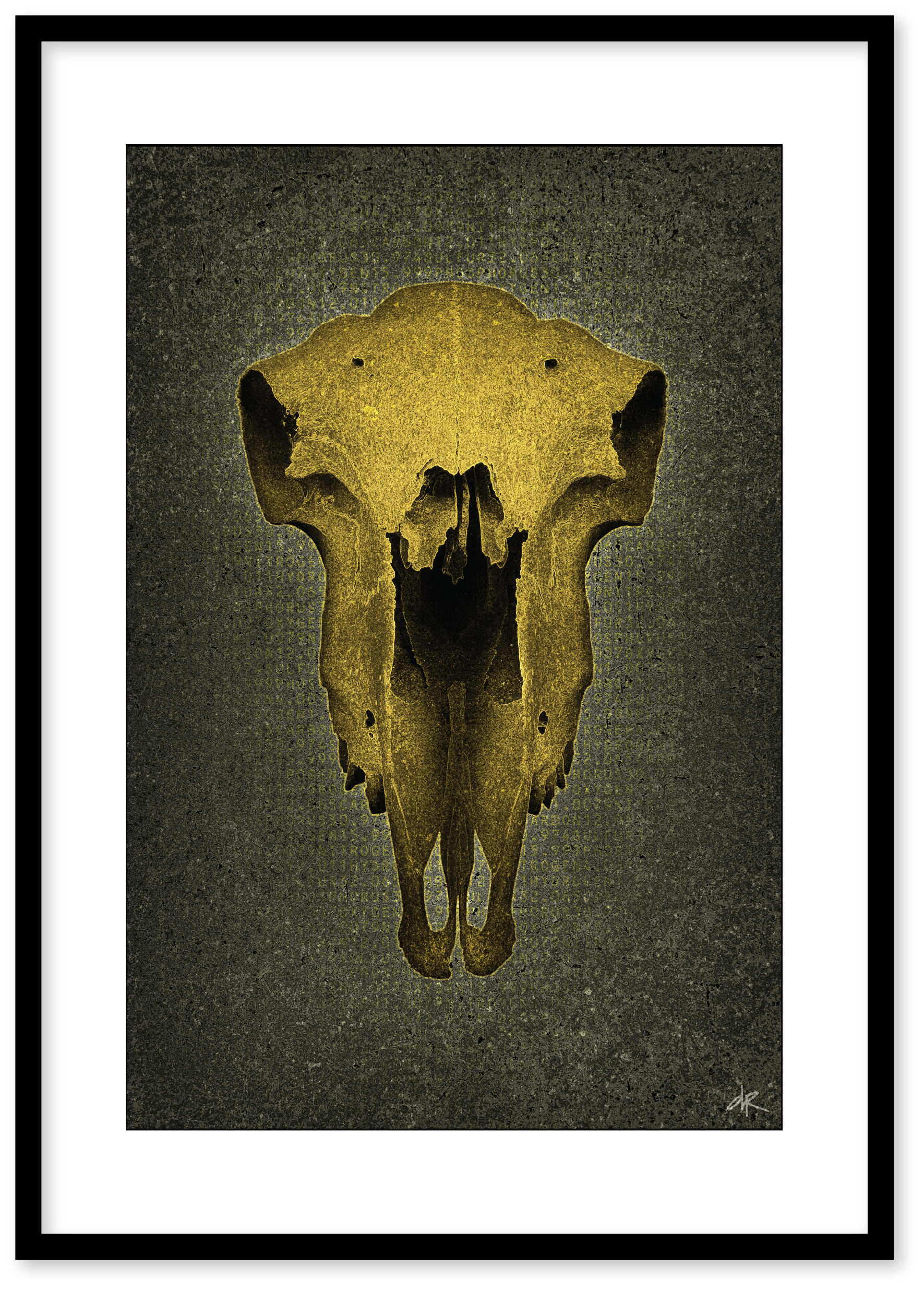 Skull No Horns, Grey Gold