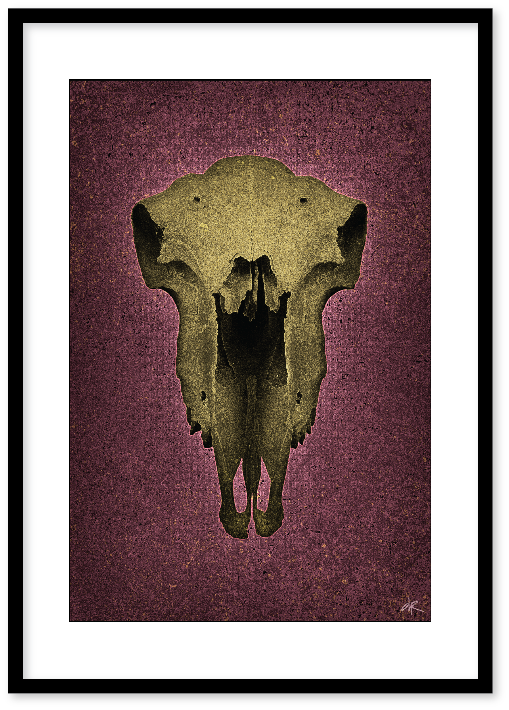 Skull No Horns, Magenta