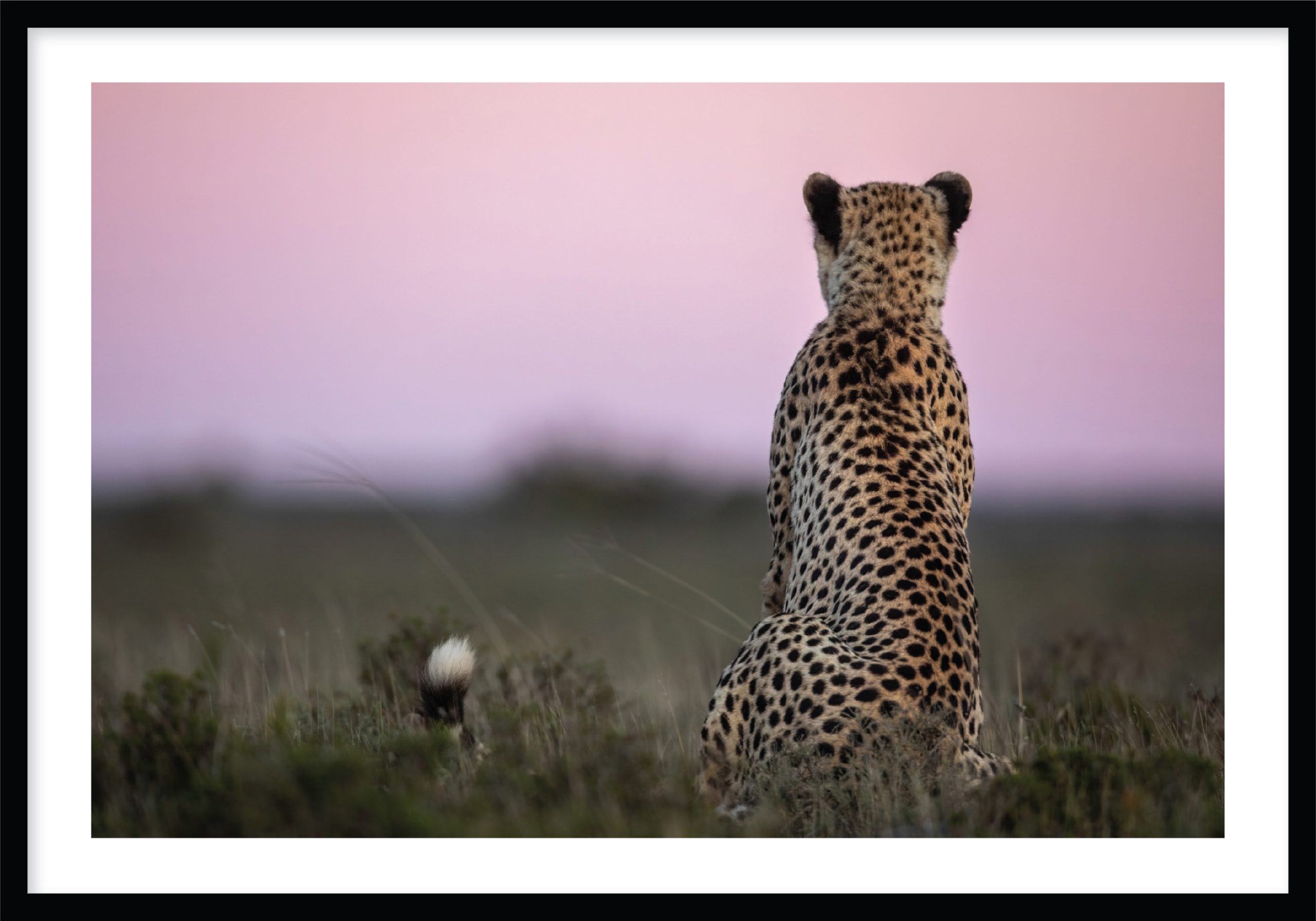 Silent Vigil © Ruan Springorum