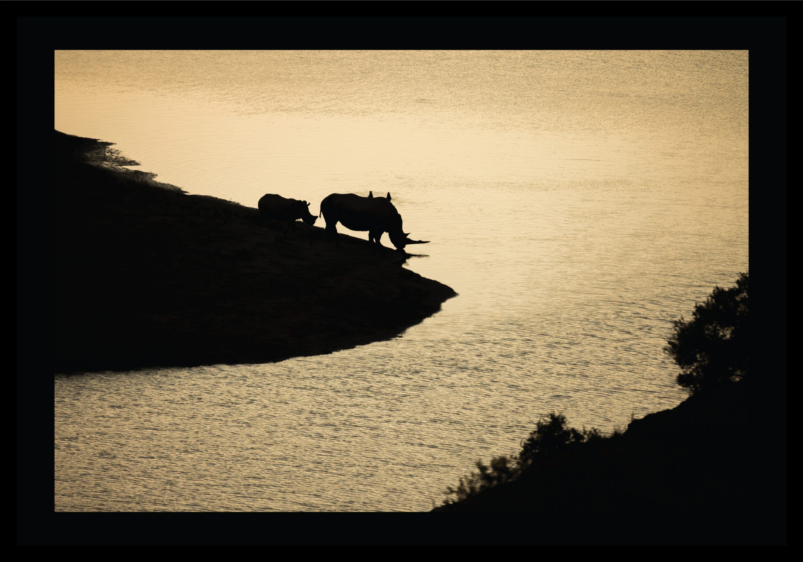 The Last Light © Ruan Springorum
