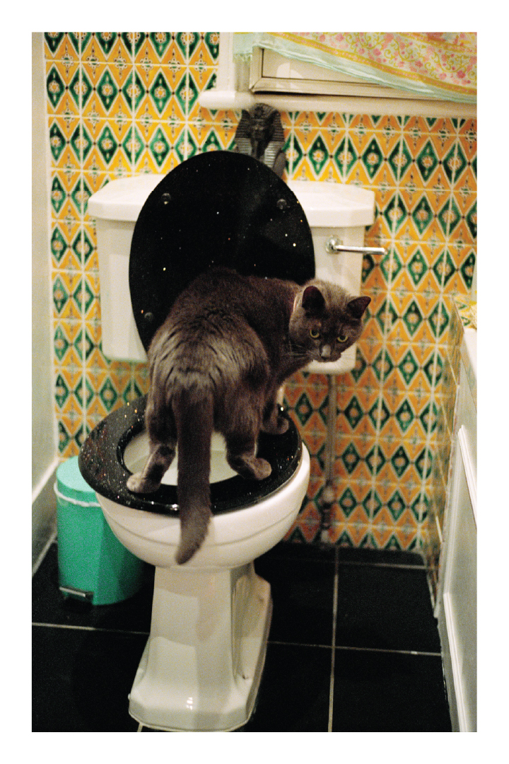 Don't Lick That © Andzej Gavriss