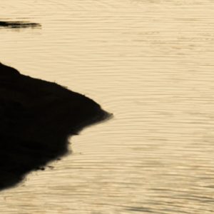 'The Last Light'  swatch