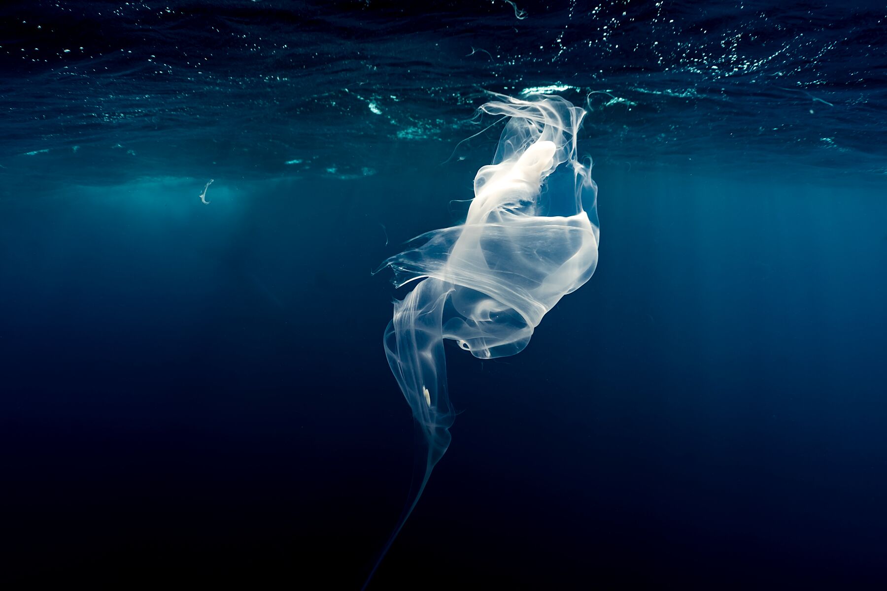 La Leche Materna, Manta Paul