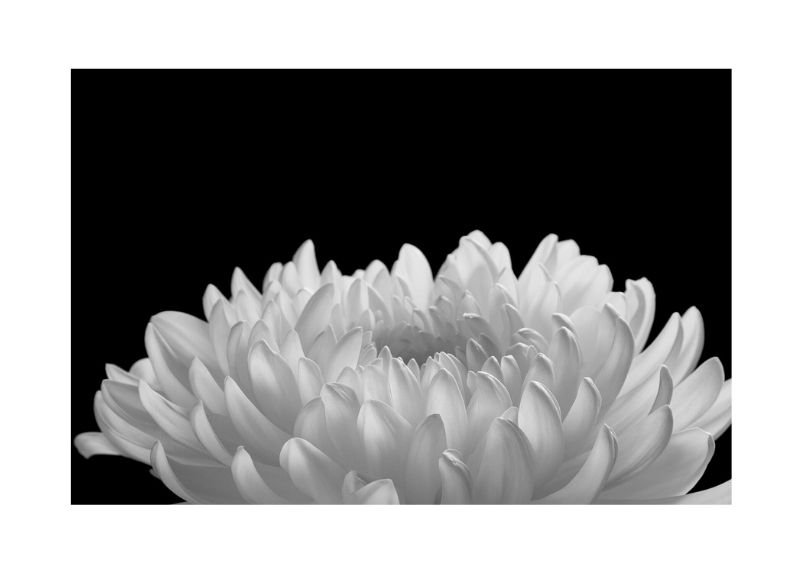 Spiritual Power, Hiroyuki Arakawa