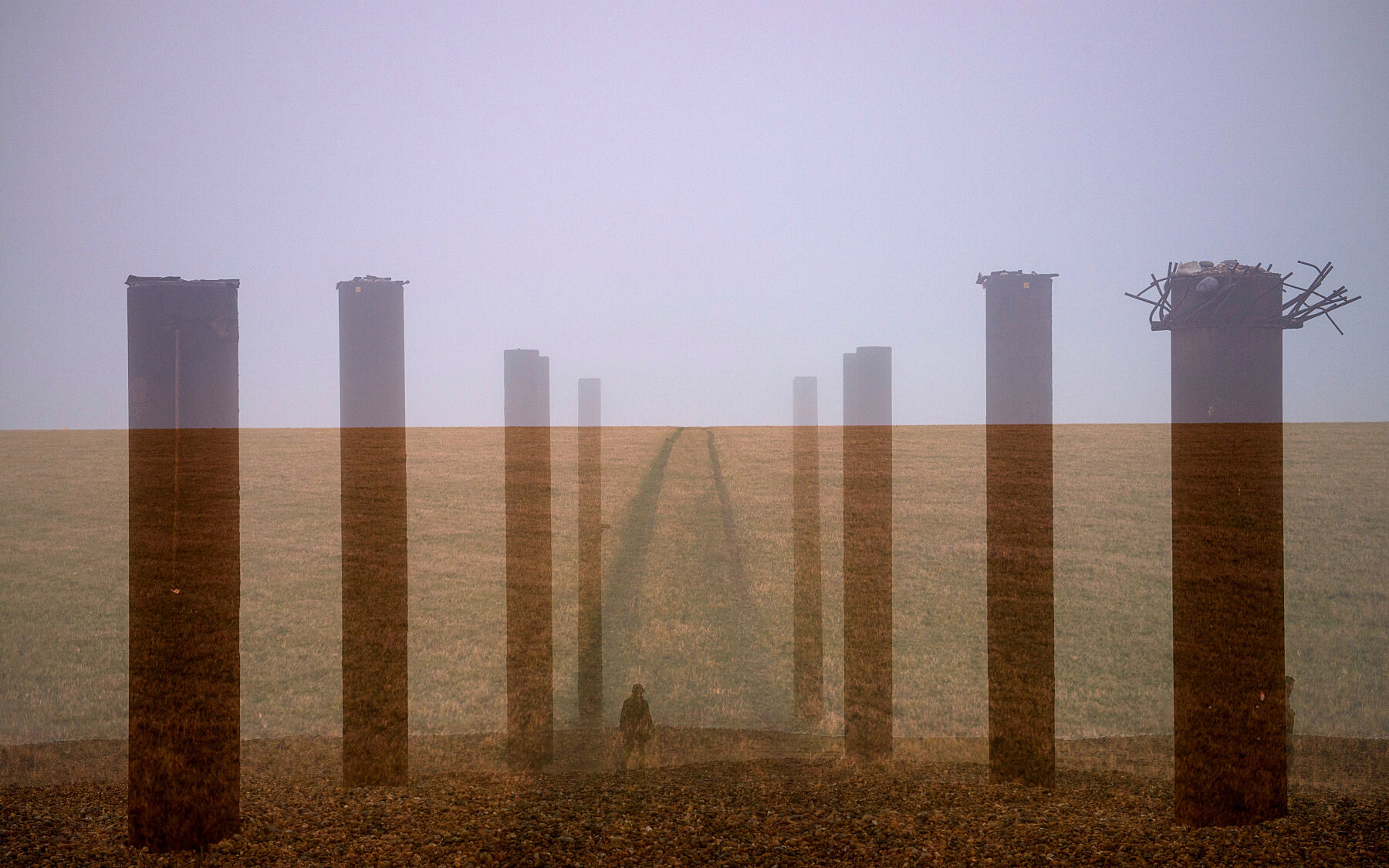 South Down, Juliana Vasquez