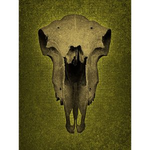 Skull No Horns - Green
