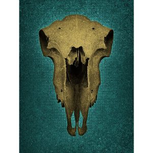 Skull No Horns - Cyan