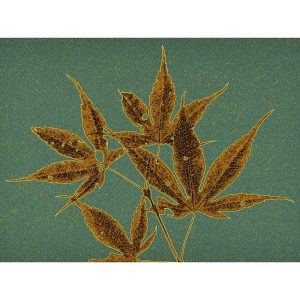 Autumn Leaves
