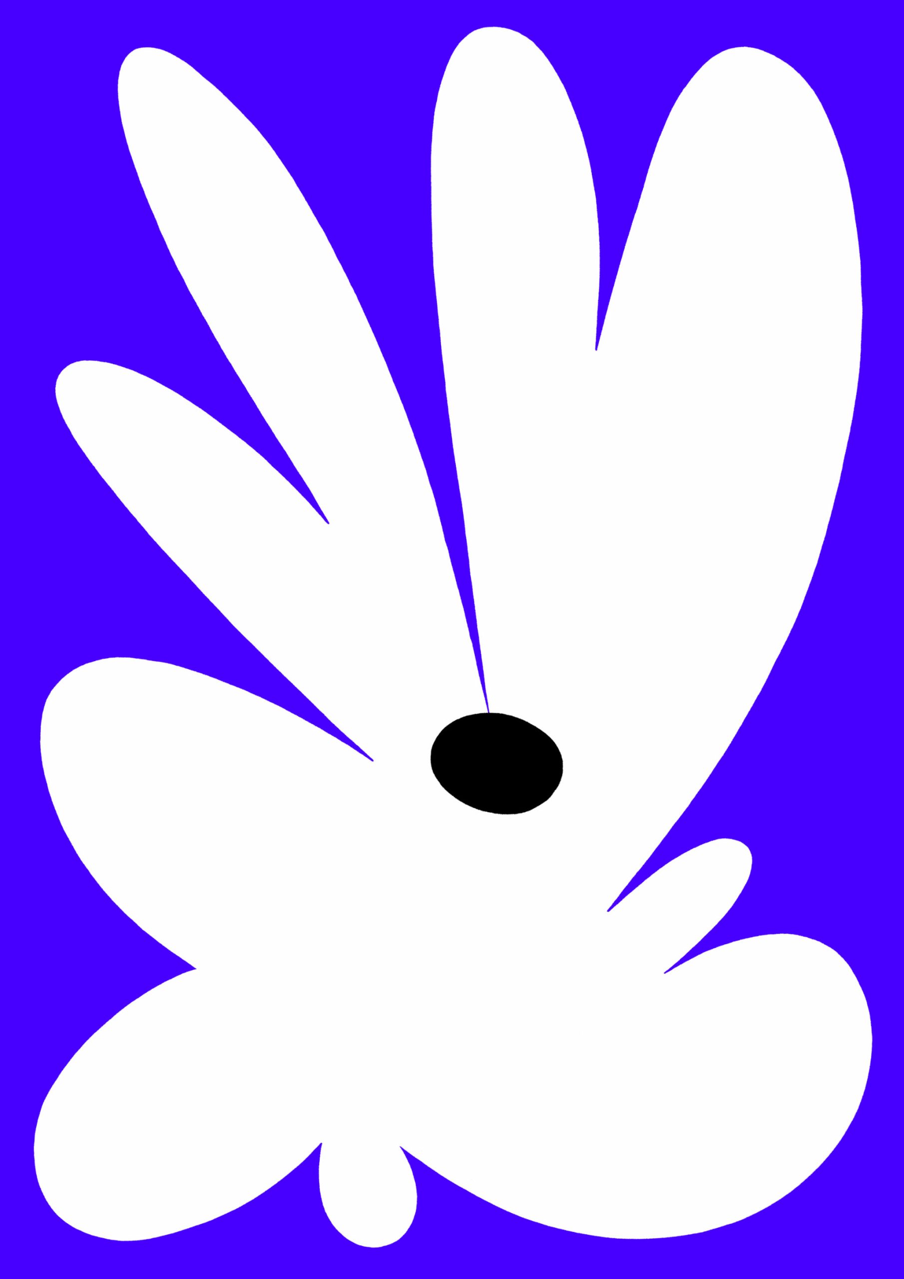 Flower 1, © Mr Will Stewart