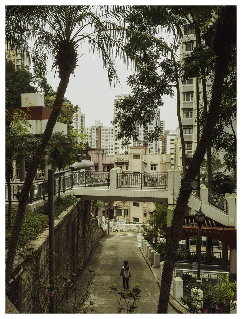 Into the Wild, Danny Chan 