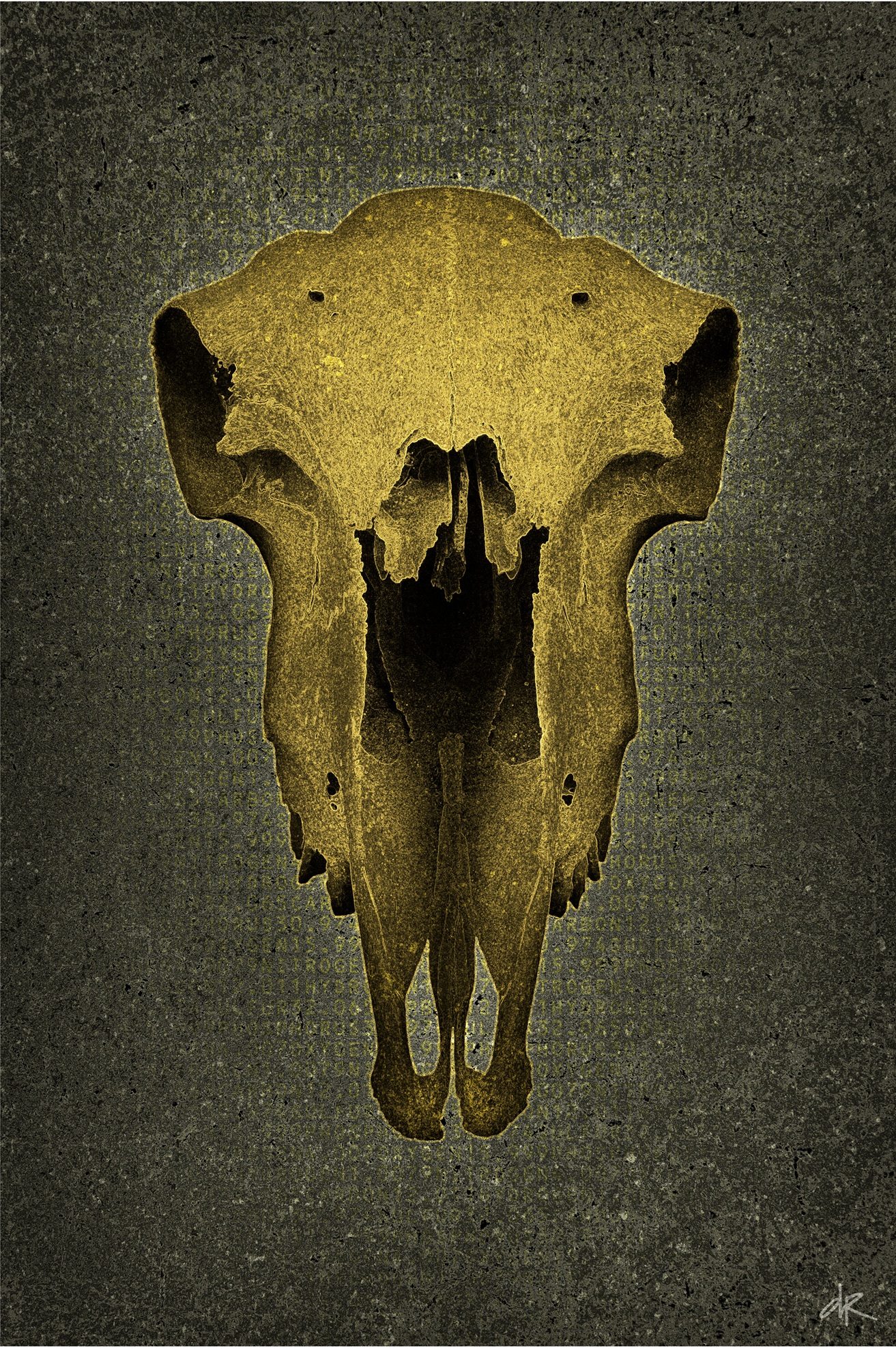 Skull No Horns, Damian Rimmer