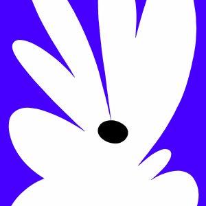 Flower 1
