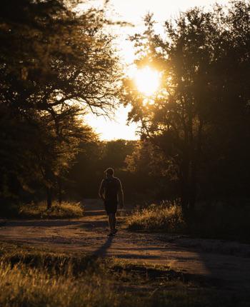 Ruan Springorum Profilem Picture